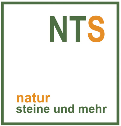 nts logo